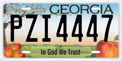GA license plate PZI4447