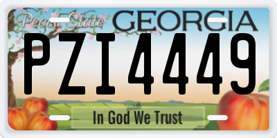 GA license plate PZI4449