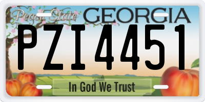 GA license plate PZI4451