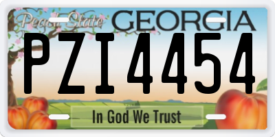 GA license plate PZI4454