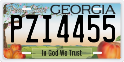 GA license plate PZI4455