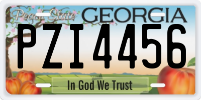 GA license plate PZI4456