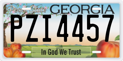 GA license plate PZI4457