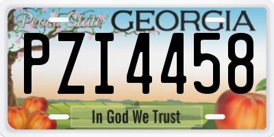 GA license plate PZI4458