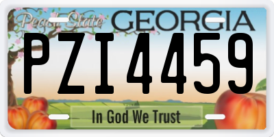 GA license plate PZI4459