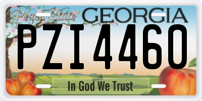 GA license plate PZI4460