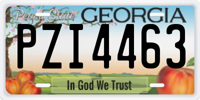 GA license plate PZI4463