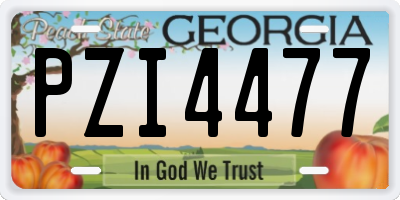 GA license plate PZI4477