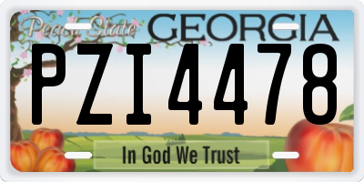 GA license plate PZI4478