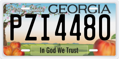GA license plate PZI4480