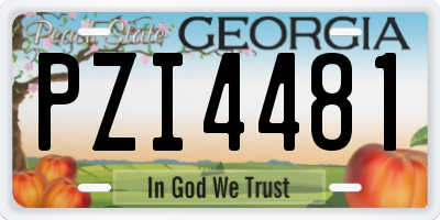 GA license plate PZI4481
