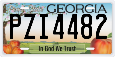GA license plate PZI4482