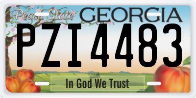 GA license plate PZI4483
