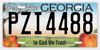 GA license plate PZI4488