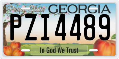 GA license plate PZI4489