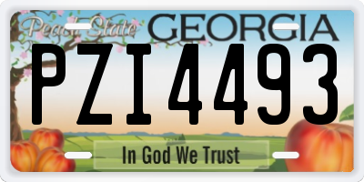 GA license plate PZI4493