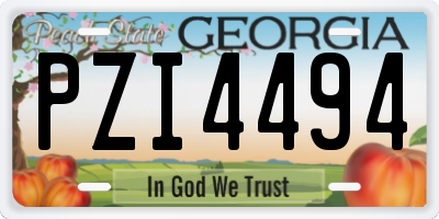 GA license plate PZI4494