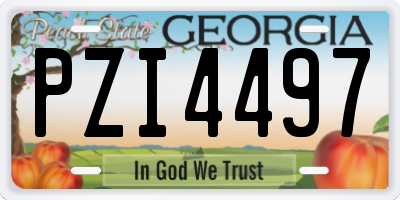 GA license plate PZI4497