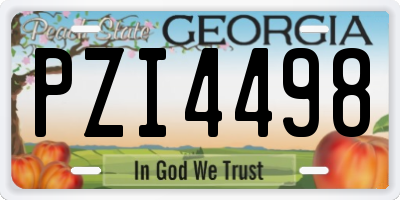 GA license plate PZI4498