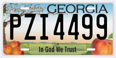 GA license plate PZI4499