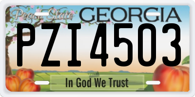 GA license plate PZI4503