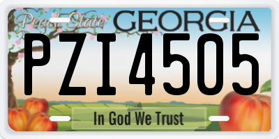 GA license plate PZI4505