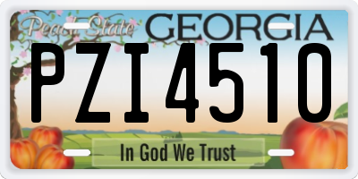 GA license plate PZI4510