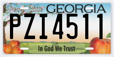 GA license plate PZI4511
