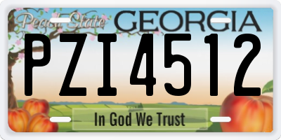GA license plate PZI4512