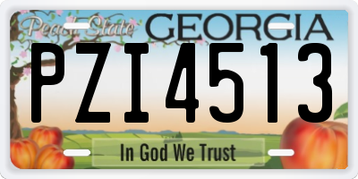 GA license plate PZI4513