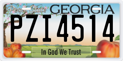 GA license plate PZI4514