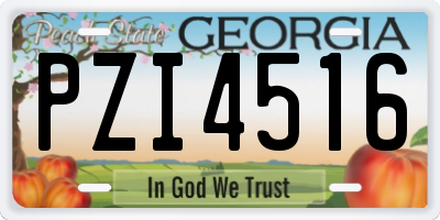GA license plate PZI4516