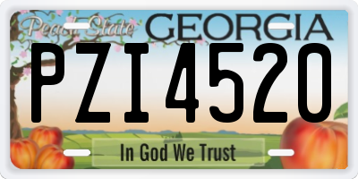 GA license plate PZI4520