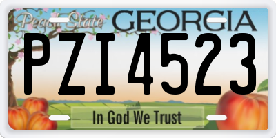 GA license plate PZI4523