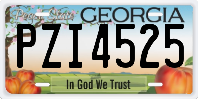 GA license plate PZI4525