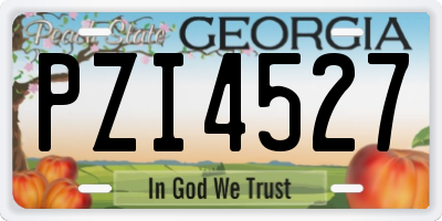 GA license plate PZI4527