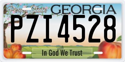GA license plate PZI4528