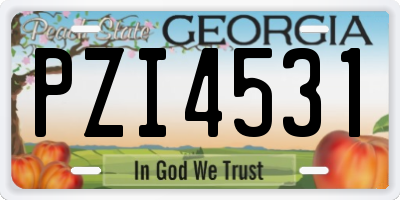 GA license plate PZI4531