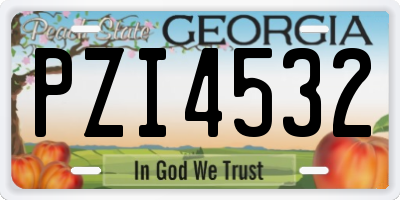 GA license plate PZI4532