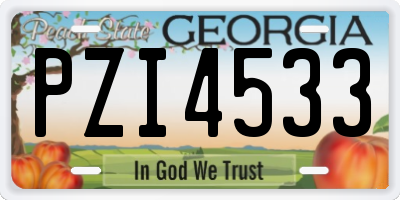 GA license plate PZI4533