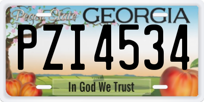 GA license plate PZI4534