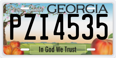 GA license plate PZI4535