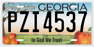 GA license plate PZI4537