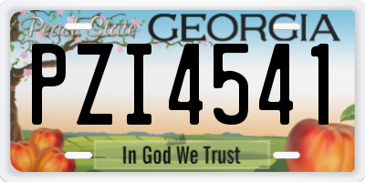 GA license plate PZI4541
