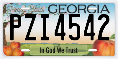 GA license plate PZI4542
