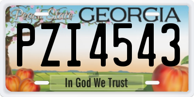 GA license plate PZI4543