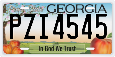 GA license plate PZI4545