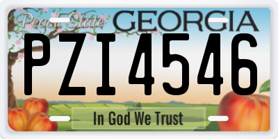 GA license plate PZI4546
