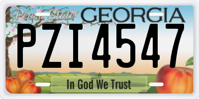 GA license plate PZI4547