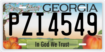 GA license plate PZI4549